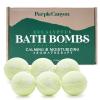 imagePurple Canyon Eucalyptus Bath Bombs for Women  Energizing Mint and Eucalyptus Bath Bomb with Natural Essential Oils  Gift Set of 6Eucalyptus Mint