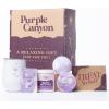 imagePurple Canyon Bath Gift Set for Women  Relaxing Lavender and Lilac SelfCare Gift for Women