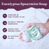 imagePurple Canyon Bath Gift Set for Women  Revitalizing Eucalyptus Spearmint and Cucumber Mint SelfCare Gift for Women