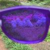 imagePURPLE CANYON Aqua Color Therapy Glasses for Chakra Healing Chromotherapy and MoodPurple