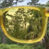 imagePURPLE CANYON Aqua Color Therapy Glasses for Chakra Healing Chromotherapy and MoodYellow