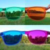 imagePURPLE CANYON Color Therapy Glasses 10 Pack for Chakra Healing Chromotherapy and Mood
