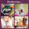 imageWhite Sage Bundles  6 Pack  Sage Smudge Stick for Home Cleansing Incense Healing Meditation and California Smudge Sticks Rituals  4 inch3 Pack